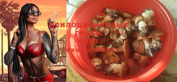 дмт Балахна