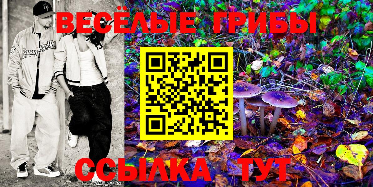 Псилоцибиновые грибы Psilocybe  Псилоцибиновые грибы Psilocybine cubensis  Вход с VPN  Биробиджан 